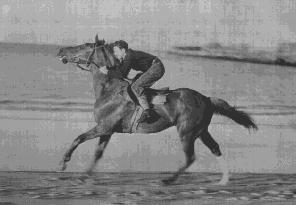 Racehorse Kerlon workout 1944